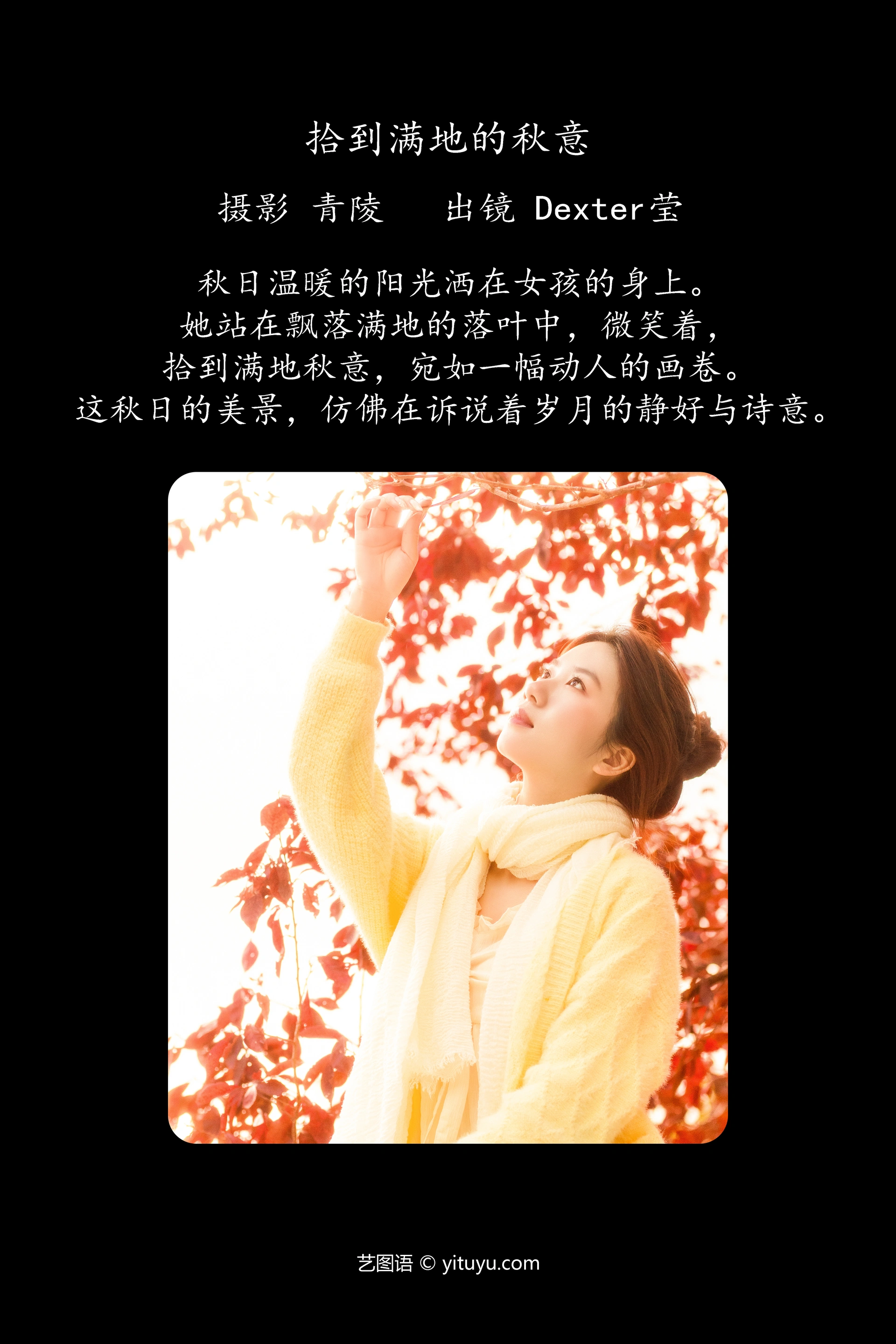 [YITUYU艺图语]2023.12.07 拾到满地的秋意 Dexter莹 1