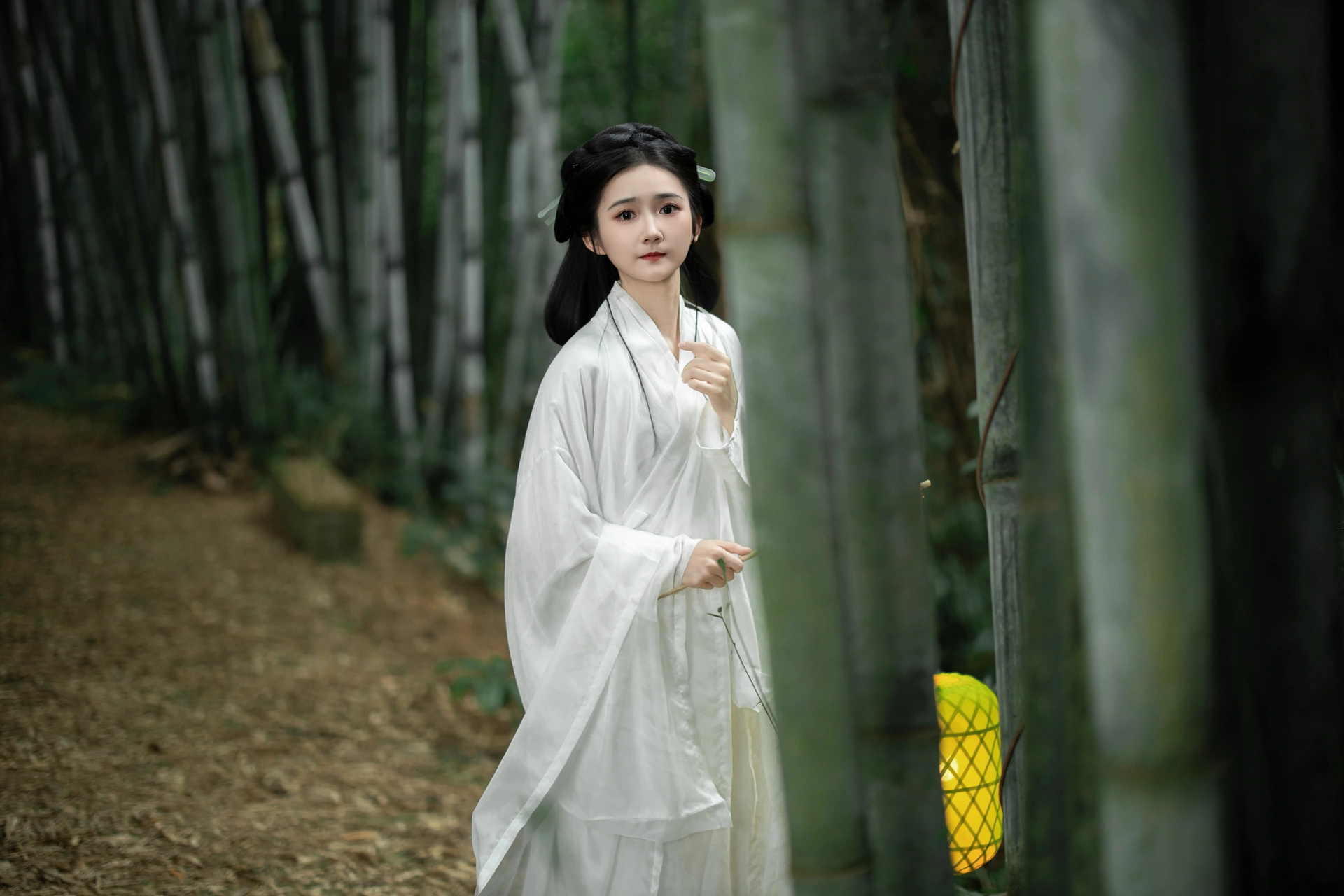 [YITUYU艺图语]2023.12.08 微风竹林 一大块蛋糕 3